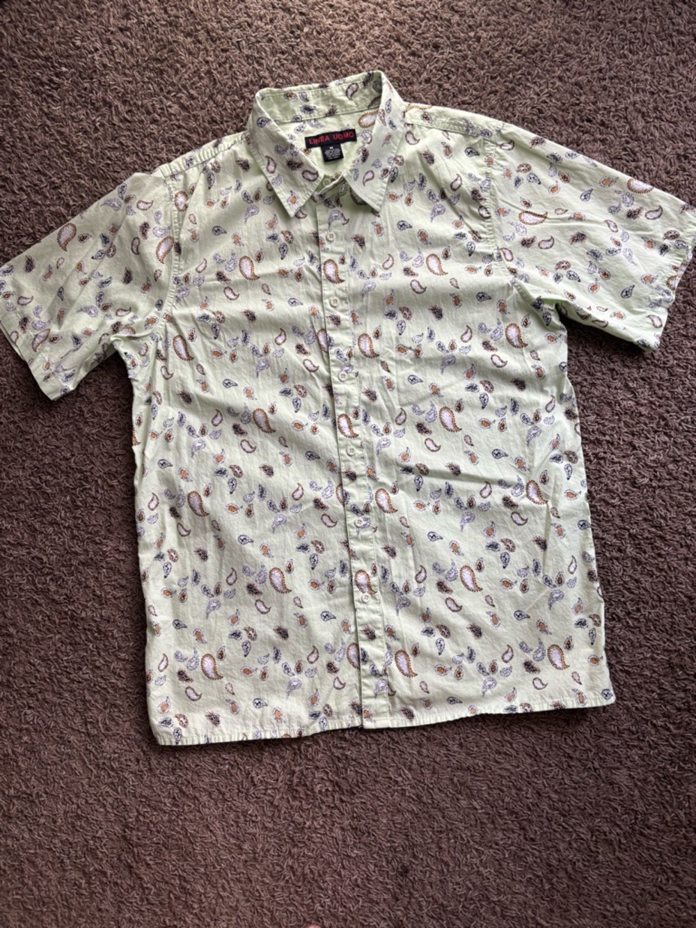 Casual Light Green Paisley Short-Sleeve Button-Down Shirt